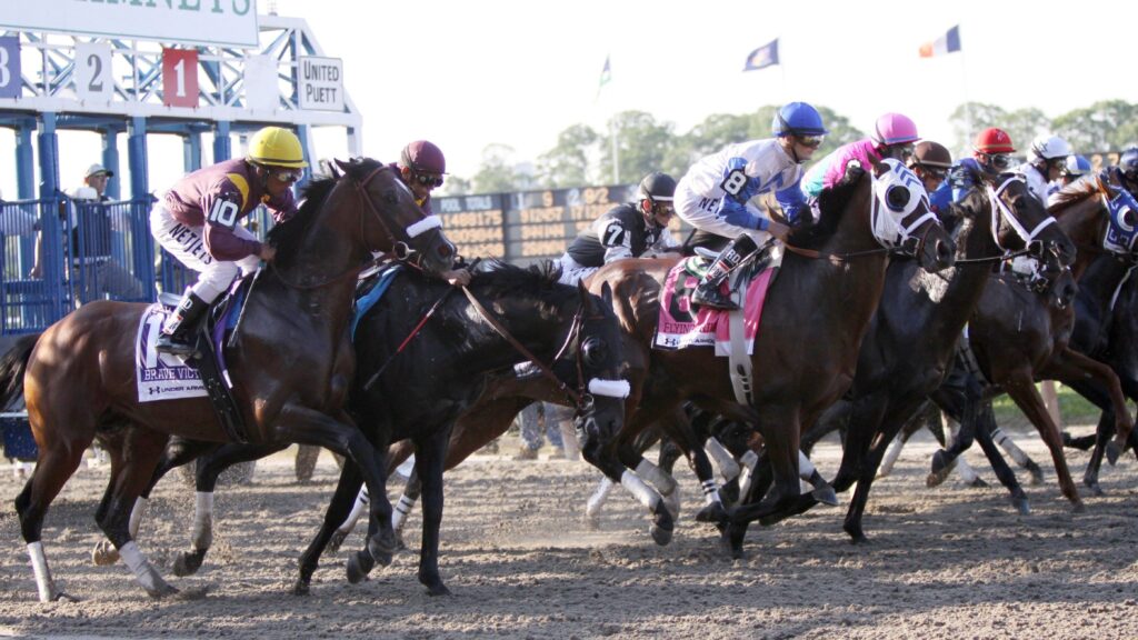 10bet.co.za/horse-racing/